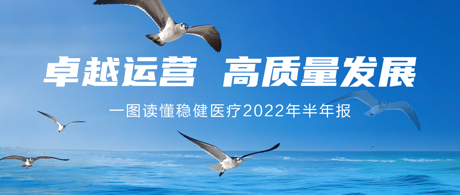 һͼʨע2022걨